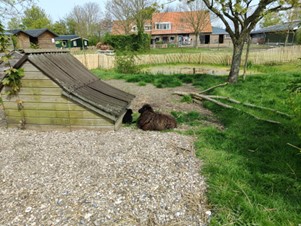 Afbeelding5