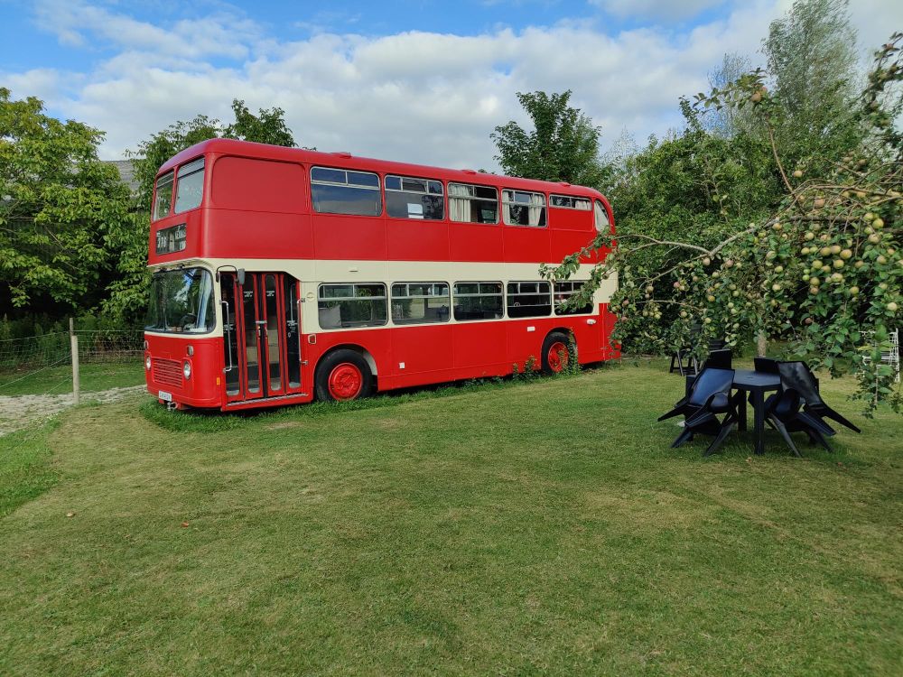 Bus