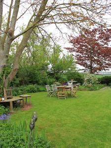 tuin